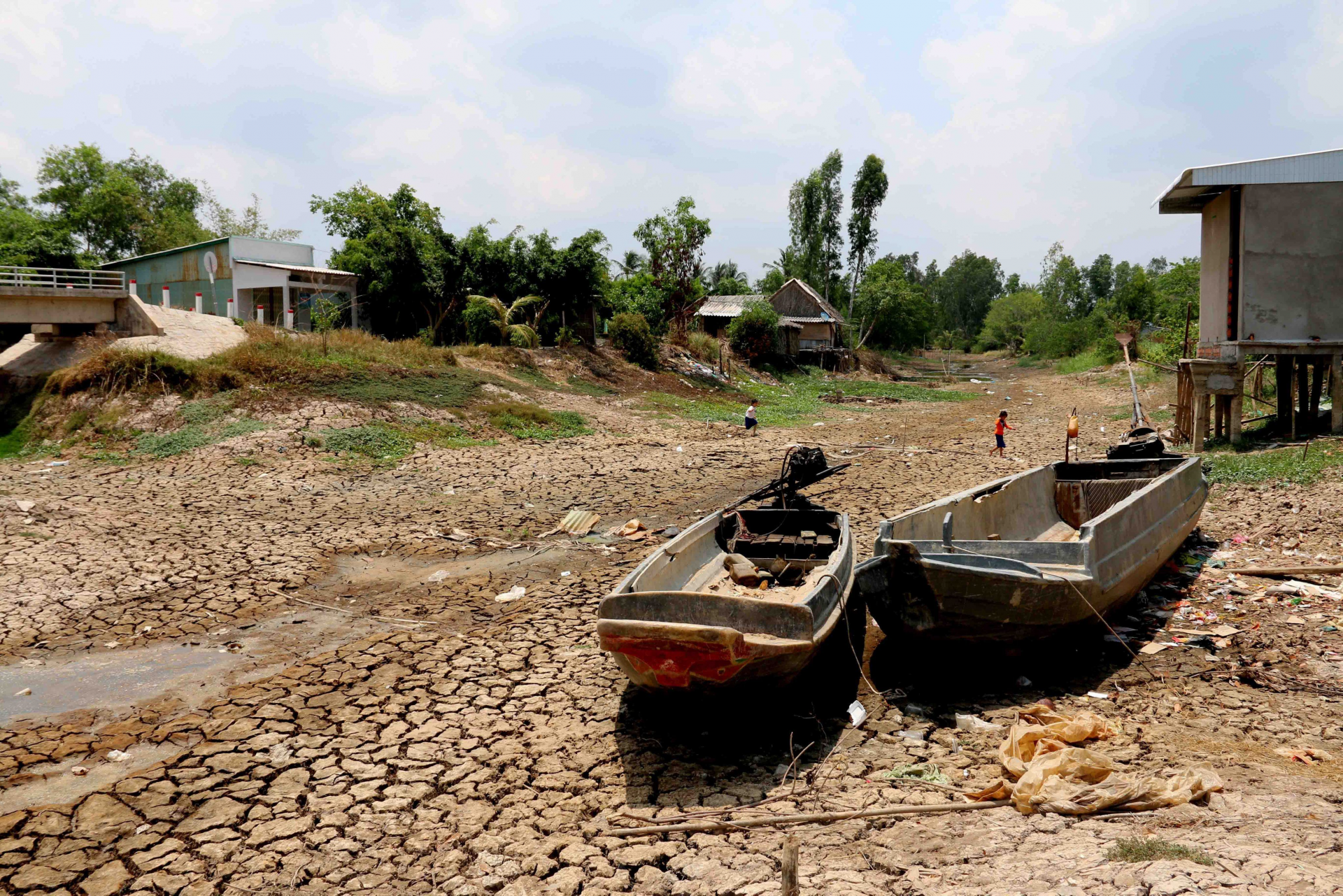 record drought and salinity with desperate fresh water shortage mekong delta crying for help
